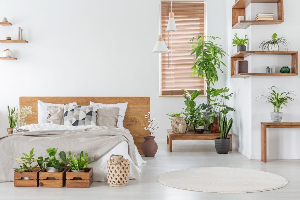 Indoor-Plants-May-Help-You-Sleep-Better-On-Your-Mattress-From-Orange-County